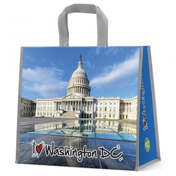 I Love WASHINGTON DC Bag (River)